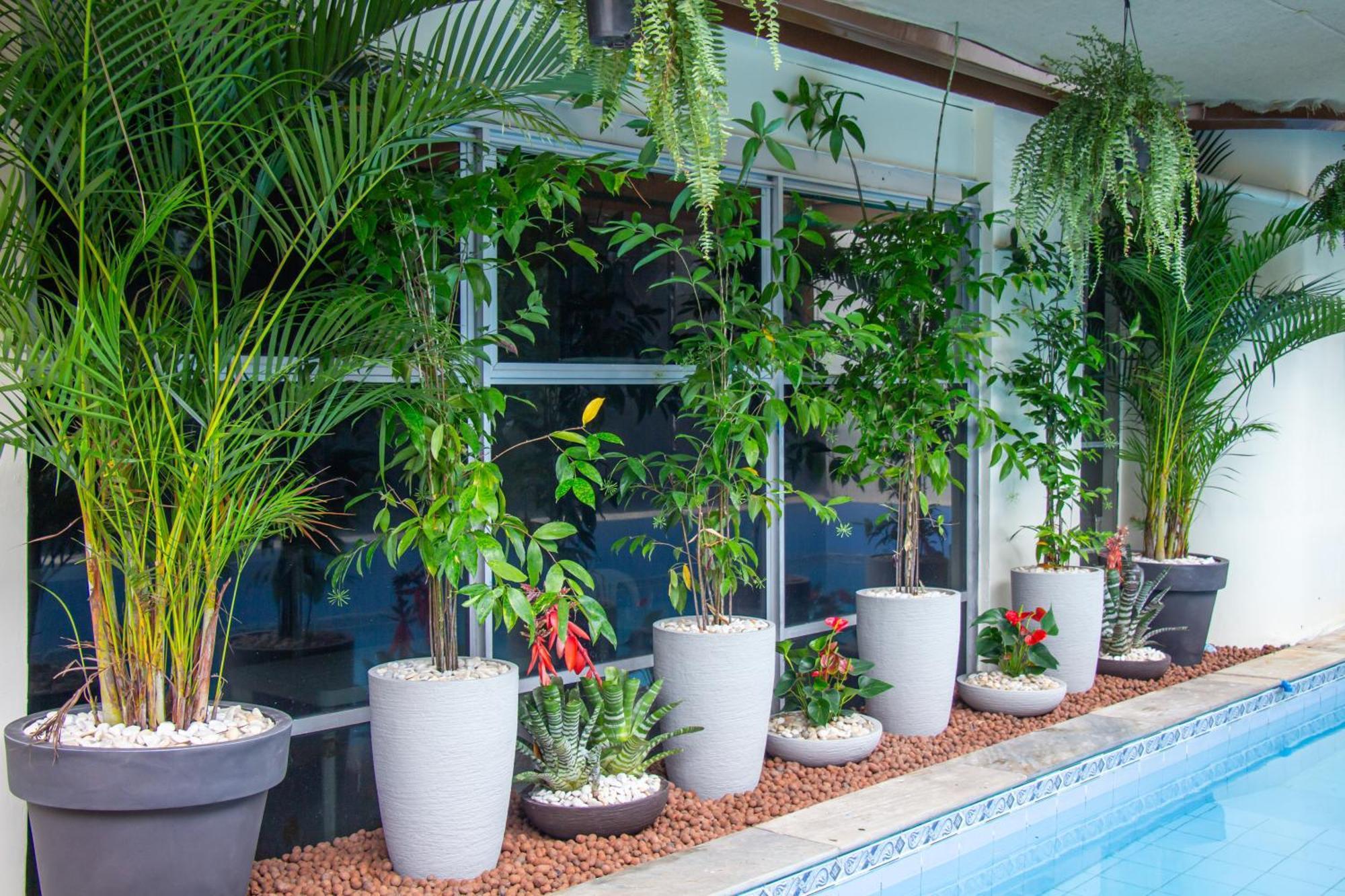 Prestige Manaus Hotel Exterior foto